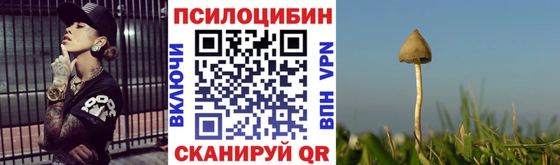 Галлюциногенные грибы мухоморы  Елабуга 
