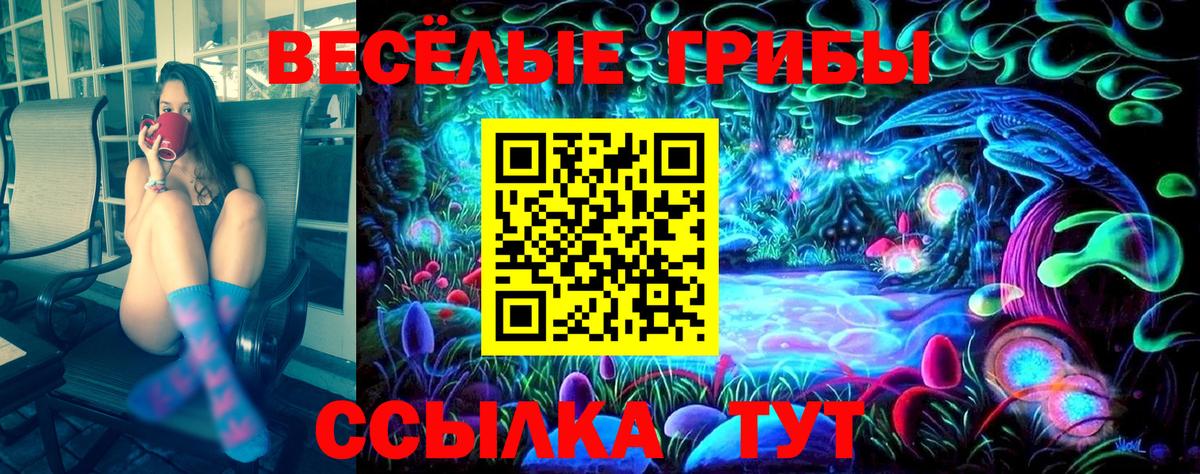 Галлюциногенные грибы Psilocybe  Вход с VPN  Галлюциногенные грибы MAGIC MUSHROOMS  наркошоп  Елабуга 