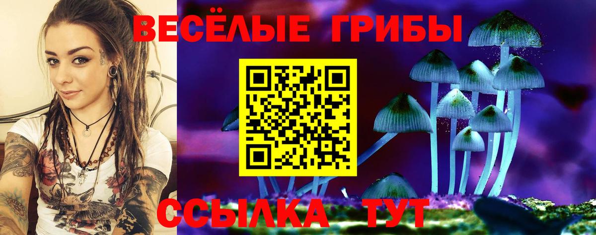 Галлюциногенные грибы мухоморы Елабуга